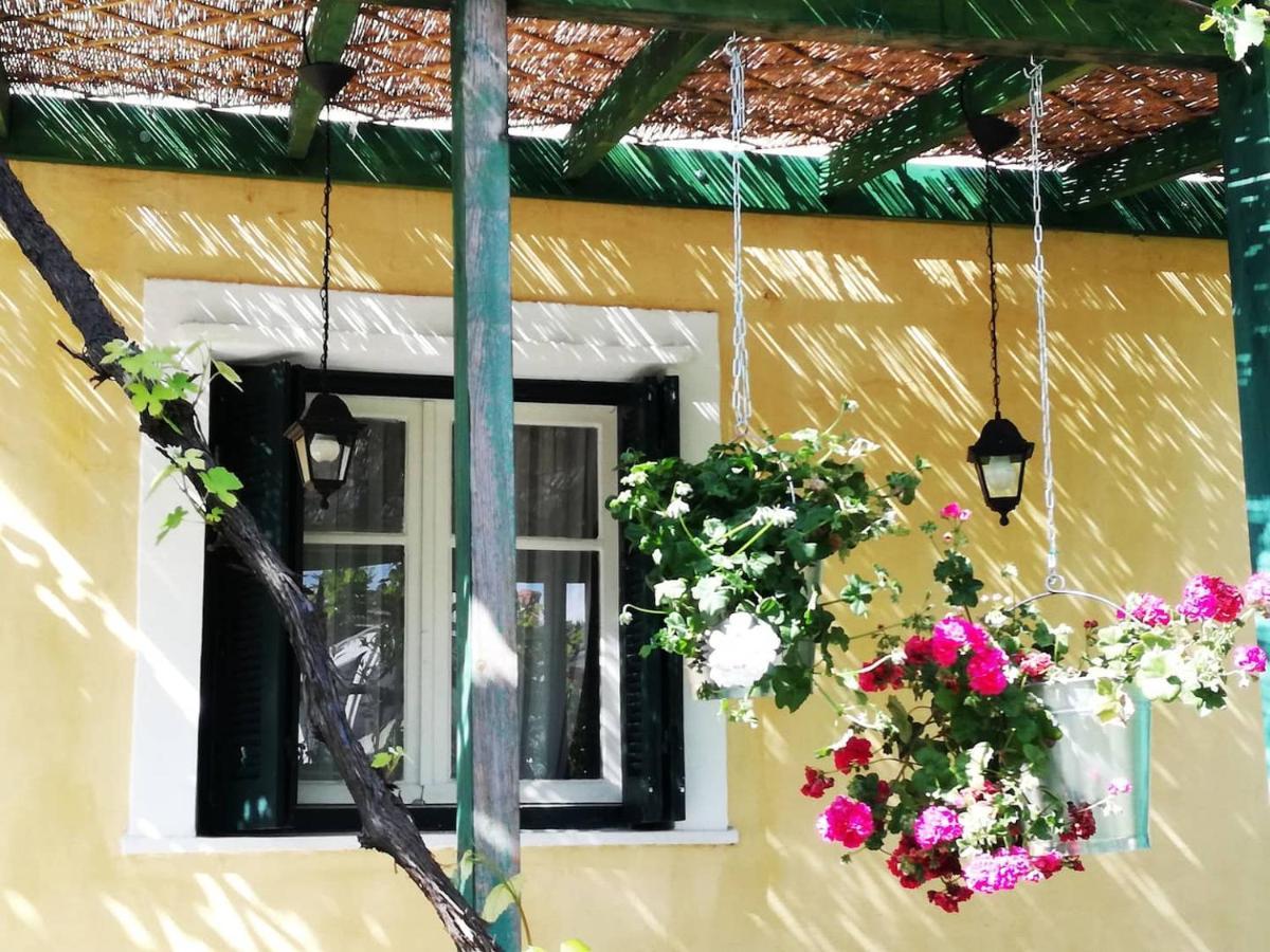 Garden House In Corfu Villa Corfu  Bagian luar foto