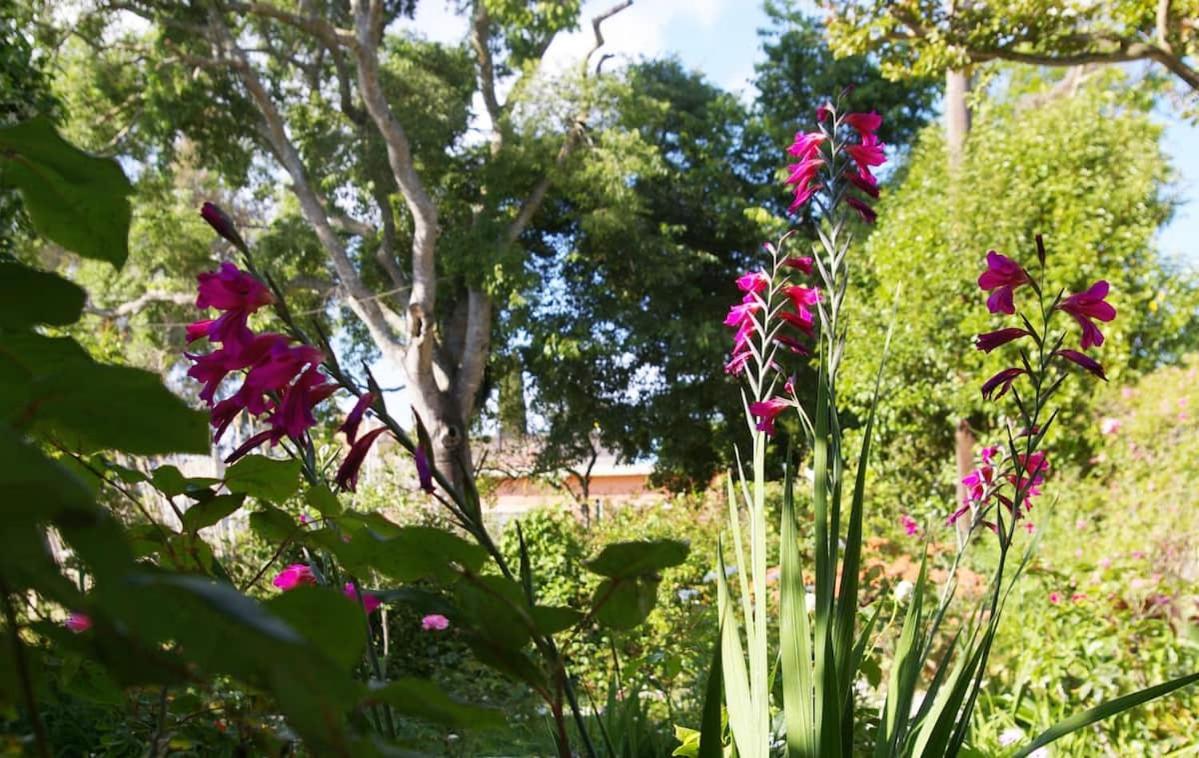 Garden House In Corfu Villa Corfu  Bagian luar foto