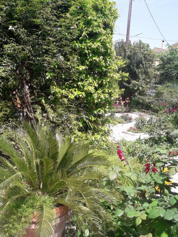 Garden House In Corfu Villa Corfu  Bagian luar foto